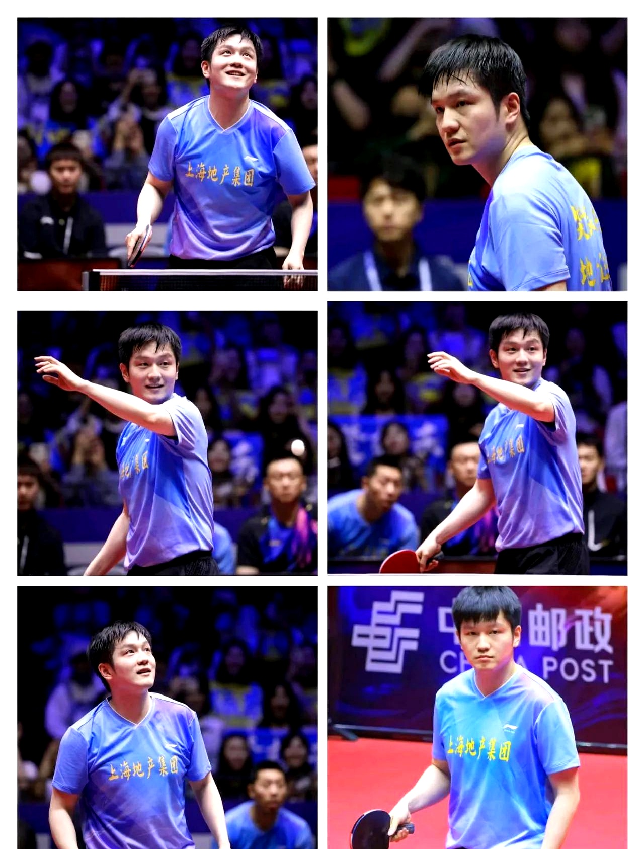 奥地利队横扫英格兰队,樊振东状态火热 奥地利队横扫英格兰队,樊振东状态火热