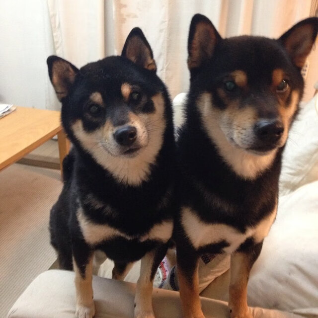 新纪元破晓，苏亚雷斯孤光独耀，比利时铁流终结南美旧梦