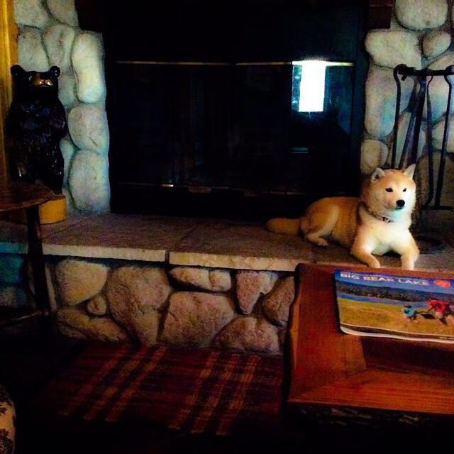 哈斯奇迹，F1斯巴达三百勇士如何用战术革命掀翻迈凯伦霸权