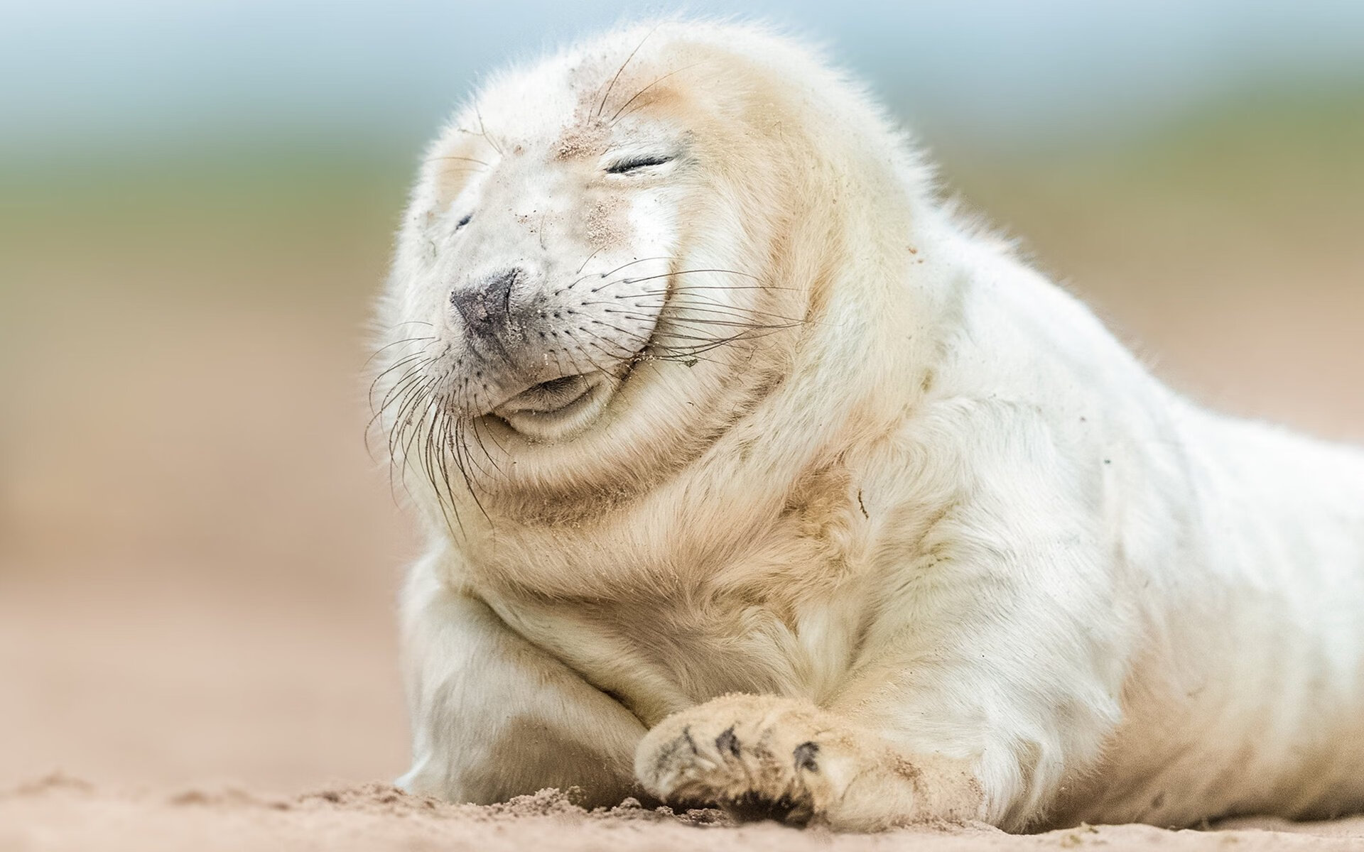 古典艺术与狂野新章，当迪马利亚演绎教科书，安哥拉踏平旧大陆的傲慢