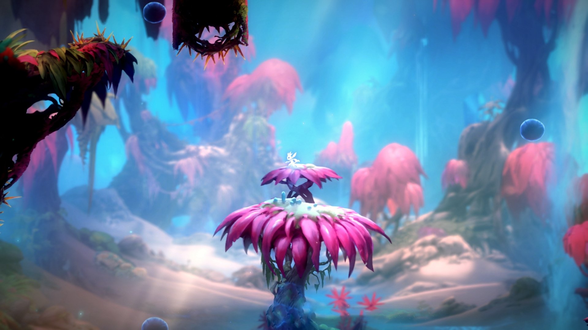 翡翠岛的逆袭,爱尔兰少年孔德如何以平凡之躯突破银河战舰的钢铁防线