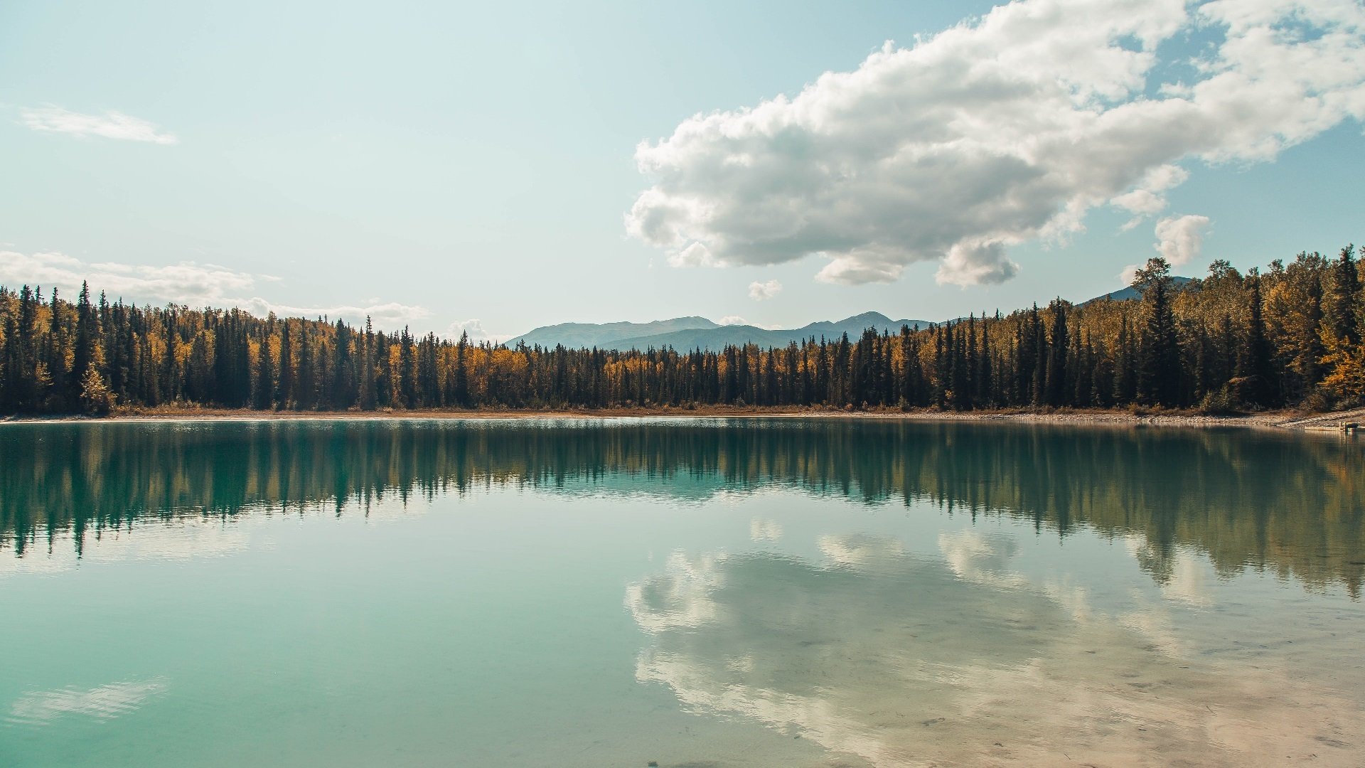 黑天鹅之舞，当扎克·拉文将篮球场化为他的交响乐池