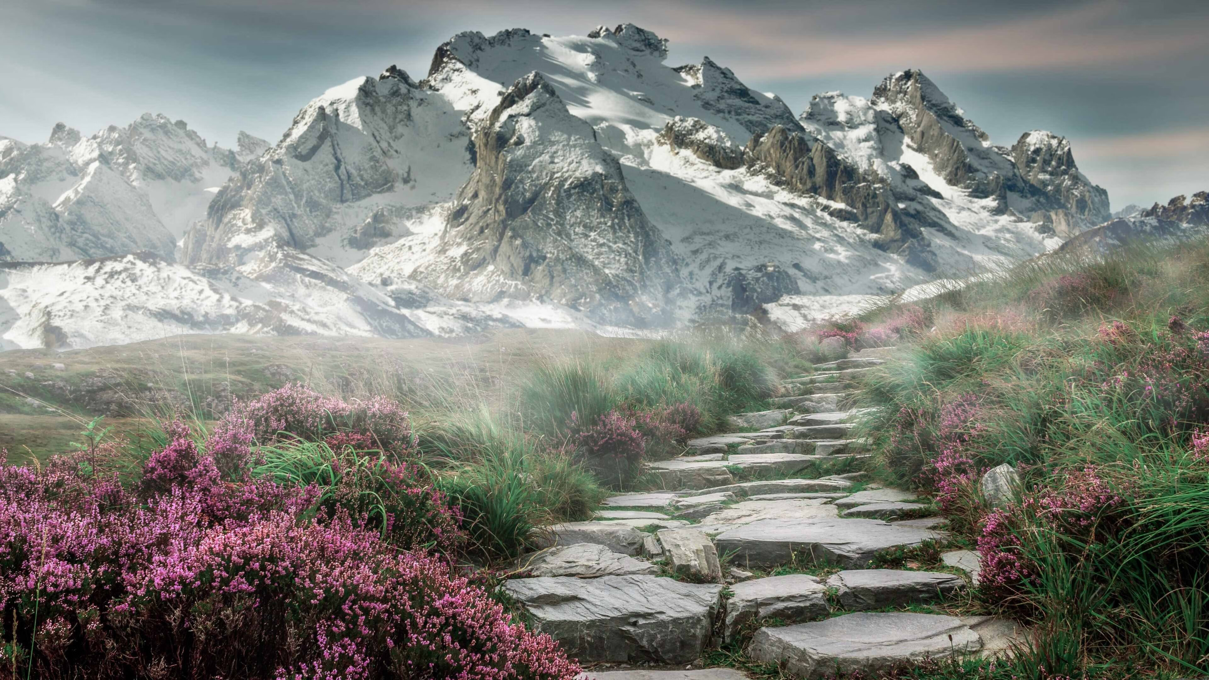 武切维奇的降维打击，当NBA魔术师在CBA防线跳起毁灭之舞