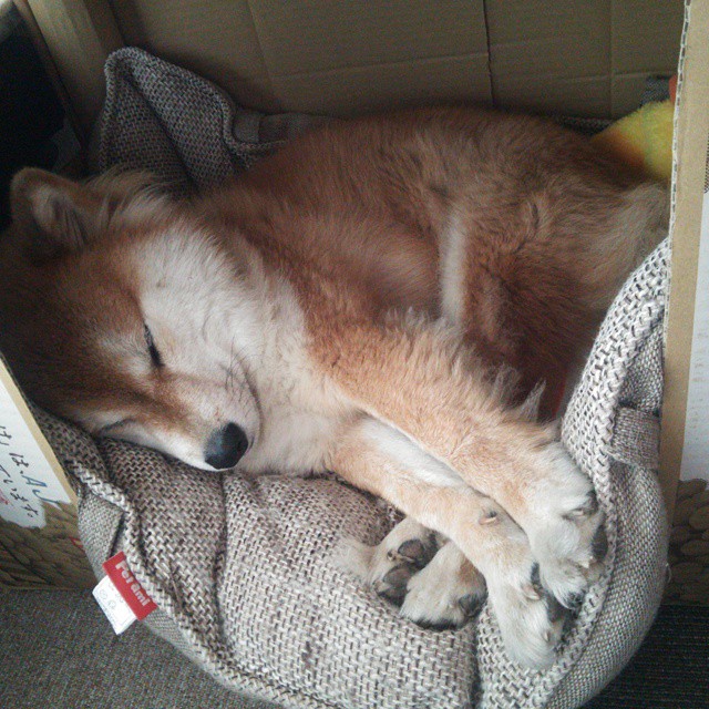 特奥的崛起,加纳压制尼斯,世界排名争夺战迎来新王者