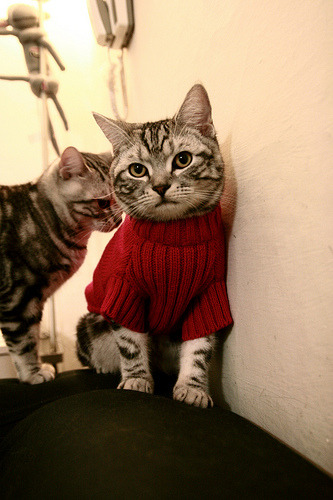 冰与火之歌，火箭封锁鹈鹕天空，约基奇终成关键先生