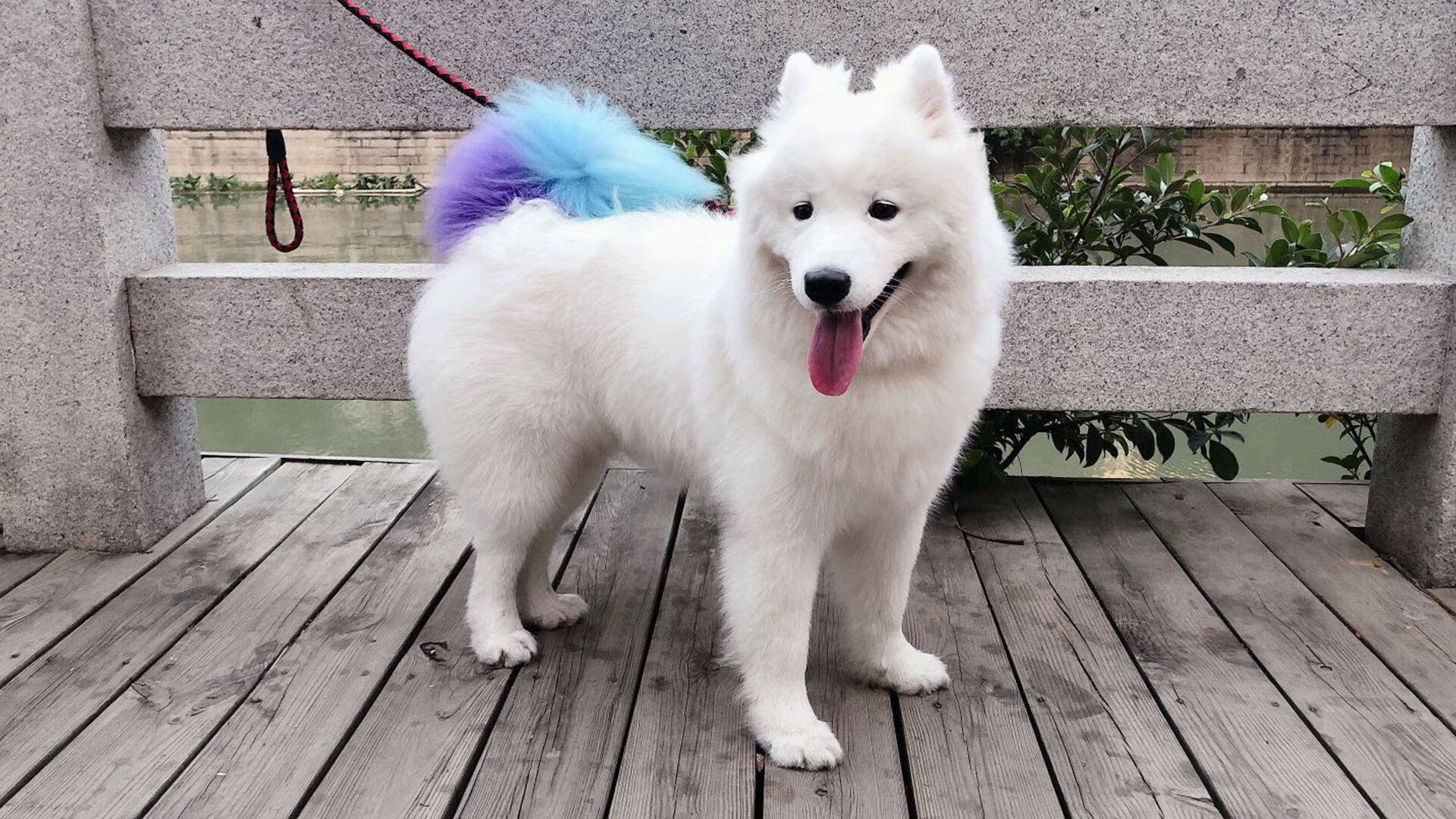 绝杀时刻,当德国战车碾过秘鲁高原,苏亚雷斯在压力中重生