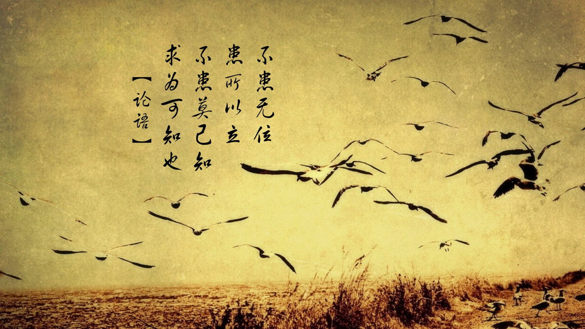 当北美雷霆遇上东北虎,欧文在跨洋焦点战中封神