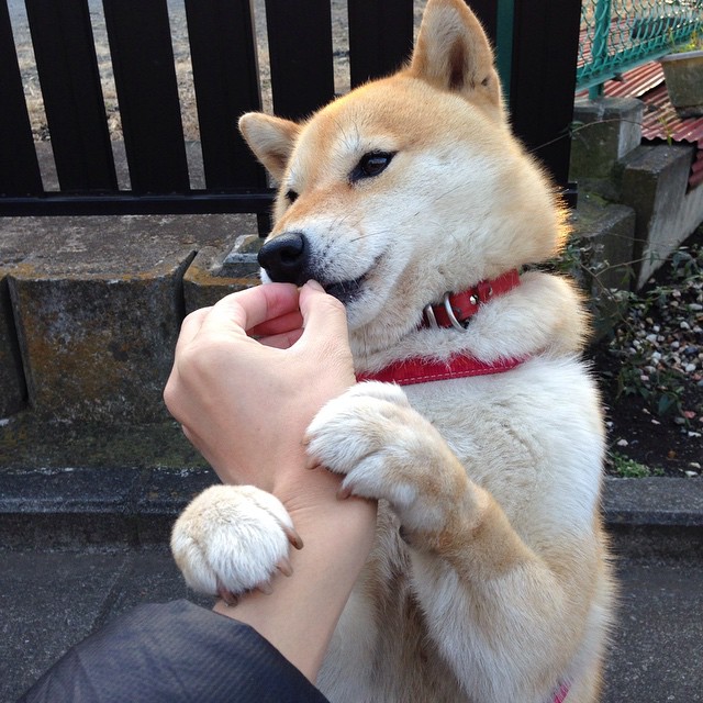 跨界奇迹夜，当广厦遇上快船，恩比德用一记不手软的绝杀定义关键战