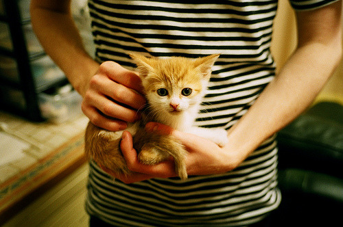 两种DNA的交汇，切尔西的夜晚，与德布劳内同频的大赛脉搏