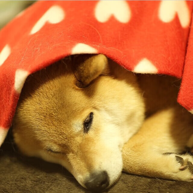 奥纳纳的转换魔法，解析洪都拉斯血拼葡萄牙中的攻防核心