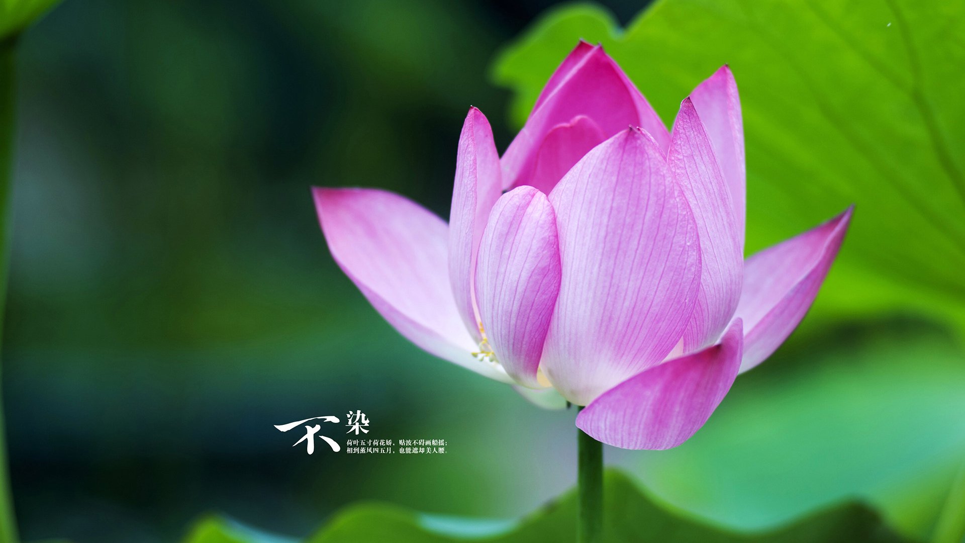 爱游戏体育-幽灵刺穿泡沫，卡拉斯科两记绝杀，让希腊神话在马德里夜空提前落幕