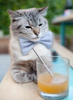 奥亚尔萨瓦尔，以皇家社会节奏重塑乌拉圭足球的交响