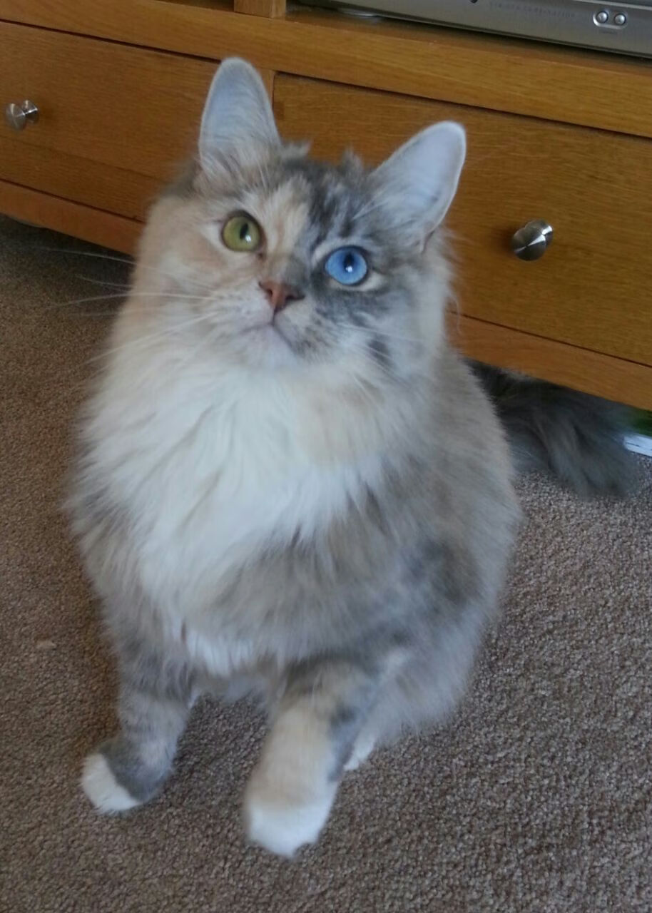 当药厂配方南渡赤道,勒沃库森式悬念终结术与阿圭罗的委内瑞拉钥匙