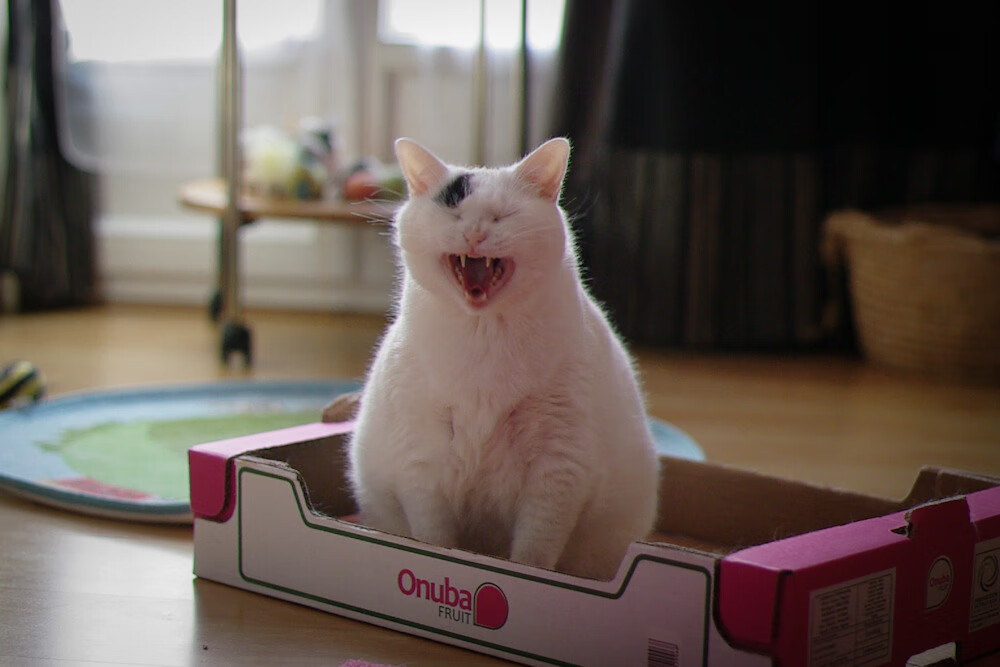 超越边界的逆转,从广厦翻盘骑士到保罗接管世界杯