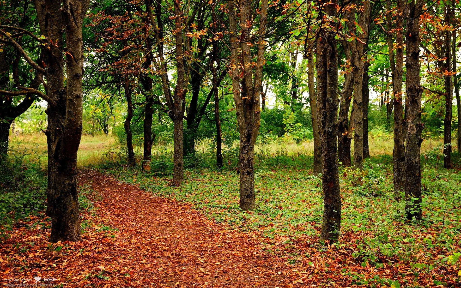 盐湖城的手术刀，当霍勒迪的连续得分切开费城之夜
