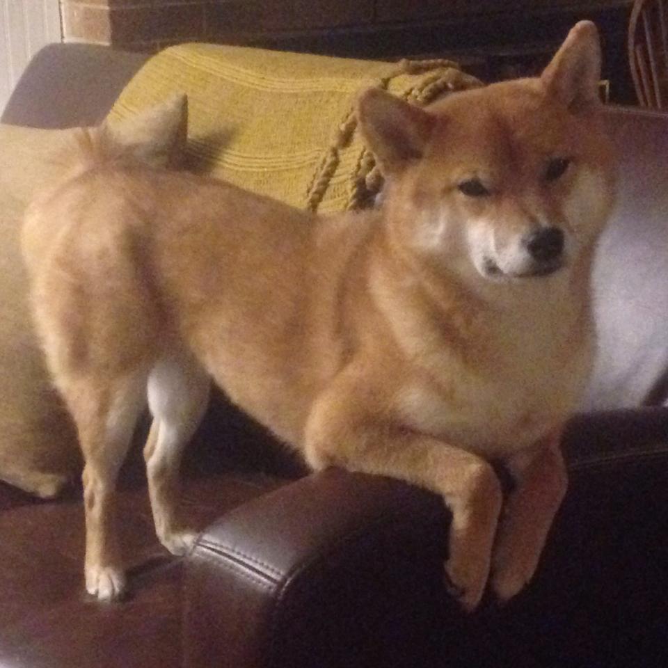 爱游戏体育-刀刃上的舞蹈，恩佐教科书之夜引爆年度焦点战