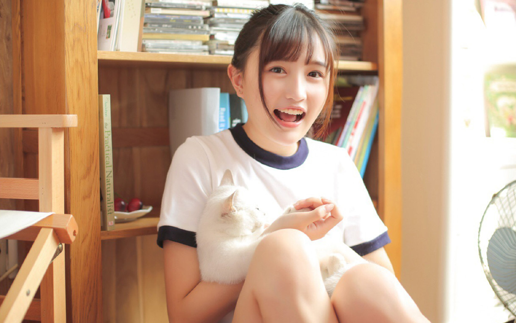 萨维利亚的雨，当赫拉克勒斯之柱见证英格兰的黄昏