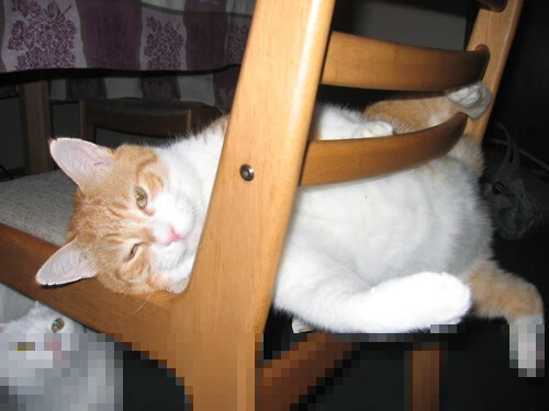 逆袭时刻，阿什拉夫一剑封喉，南非掀翻厄瓜多尔的命运转折点