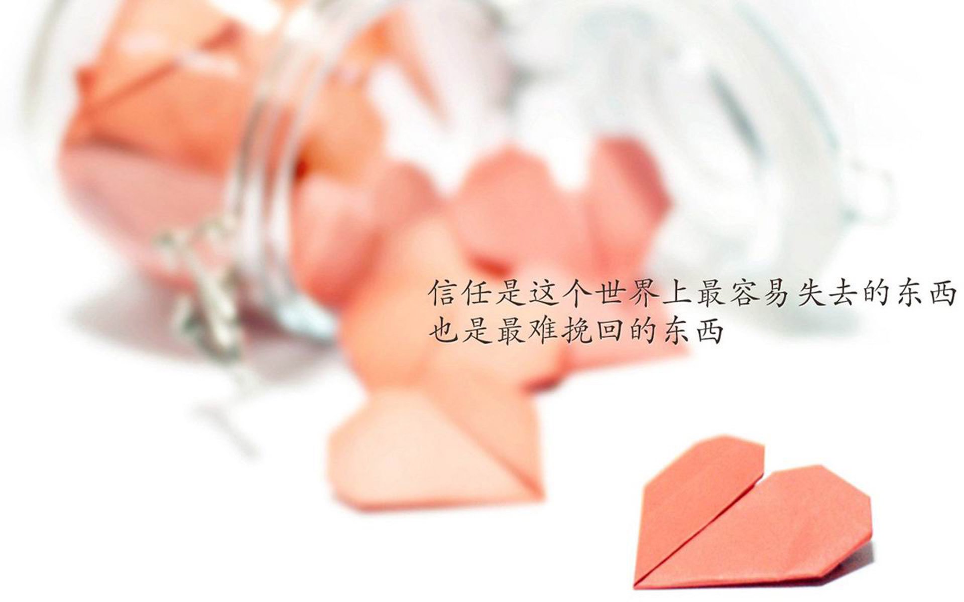 星辰与沙漠的碰撞，喀麦隆雄狮遭遇东瀛武士，C罗在2026世界杯C组书写唯一传奇