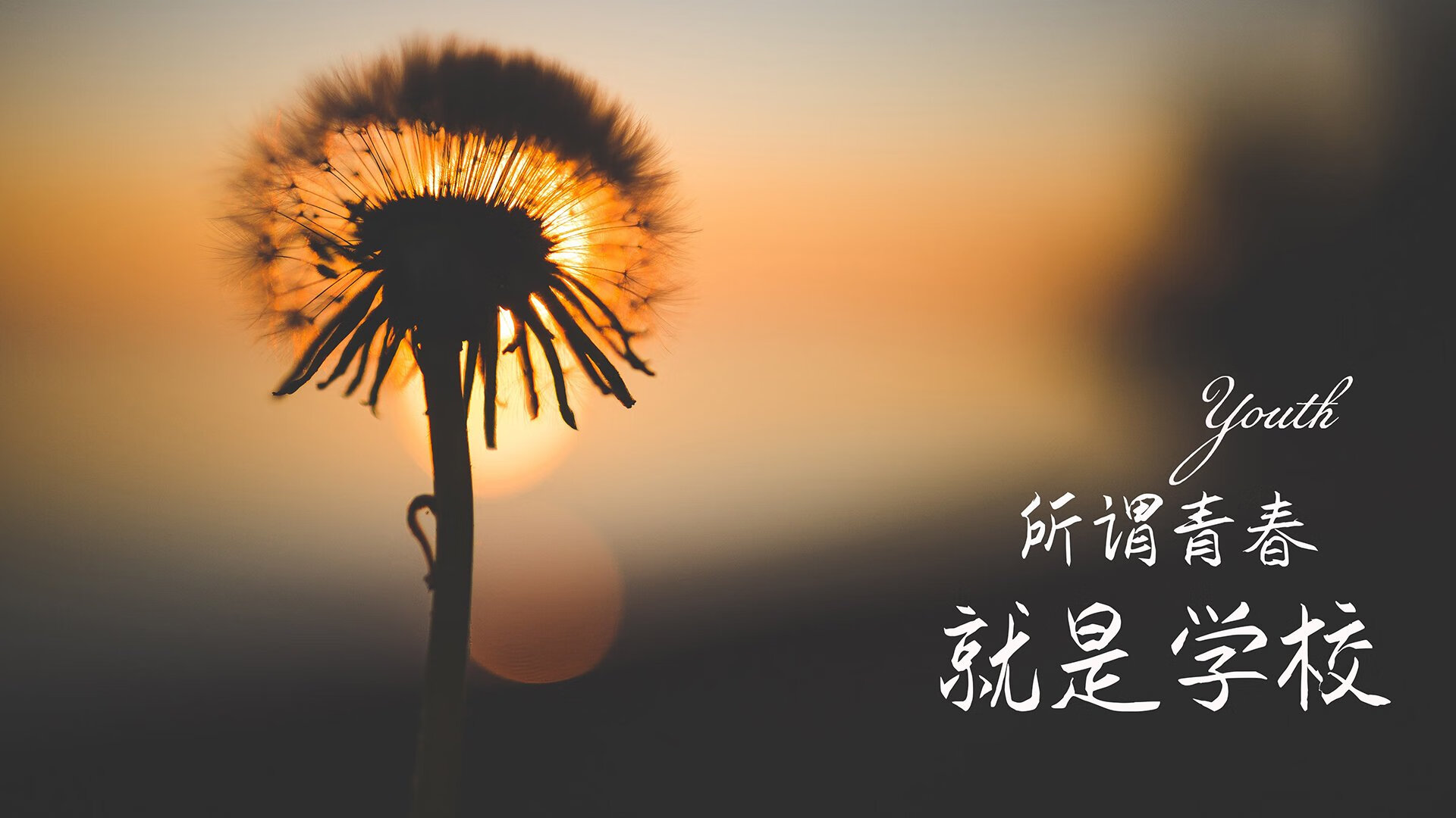 2026世界杯F组惊世之战,泰国铁骑碾碎德国战车,塔雷米独造传奇之夜