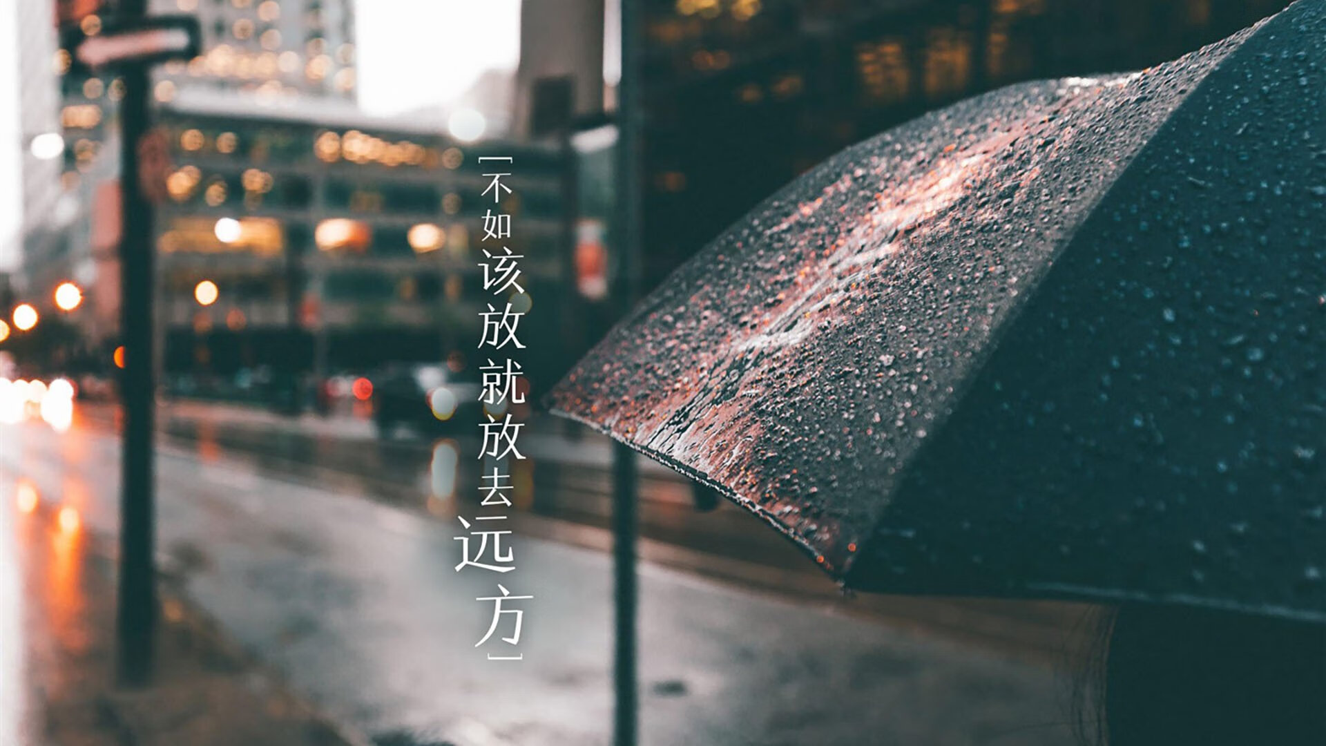 命运之约,2026世界杯焦点战,B费如何以一人之力改写喀麦隆与挪威的对抗史